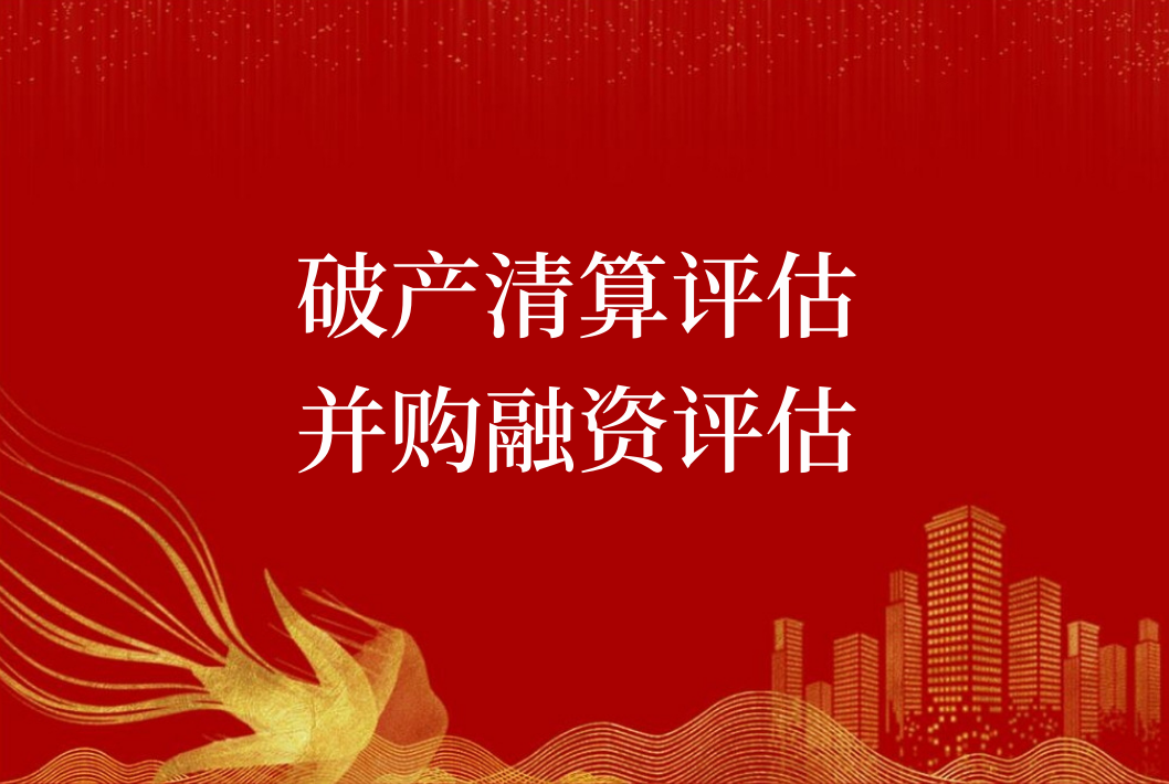 北京公司評估 資產(chǎn)評估 股權(quán)評估報告