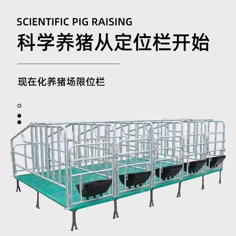 母豬復(fù)合定位欄  懸空定位欄 落地定位欄